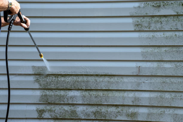 Best Shed Removal  in Dresser, WI