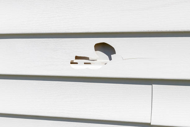 Trusted Dresser, WI Junk Removal Experts